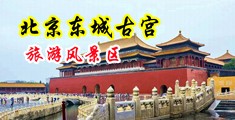 操逼看奶中国北京-东城古宫旅游风景区