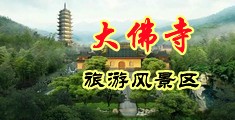 暴操秘书嫩b中国浙江-新昌大佛寺旅游风景区